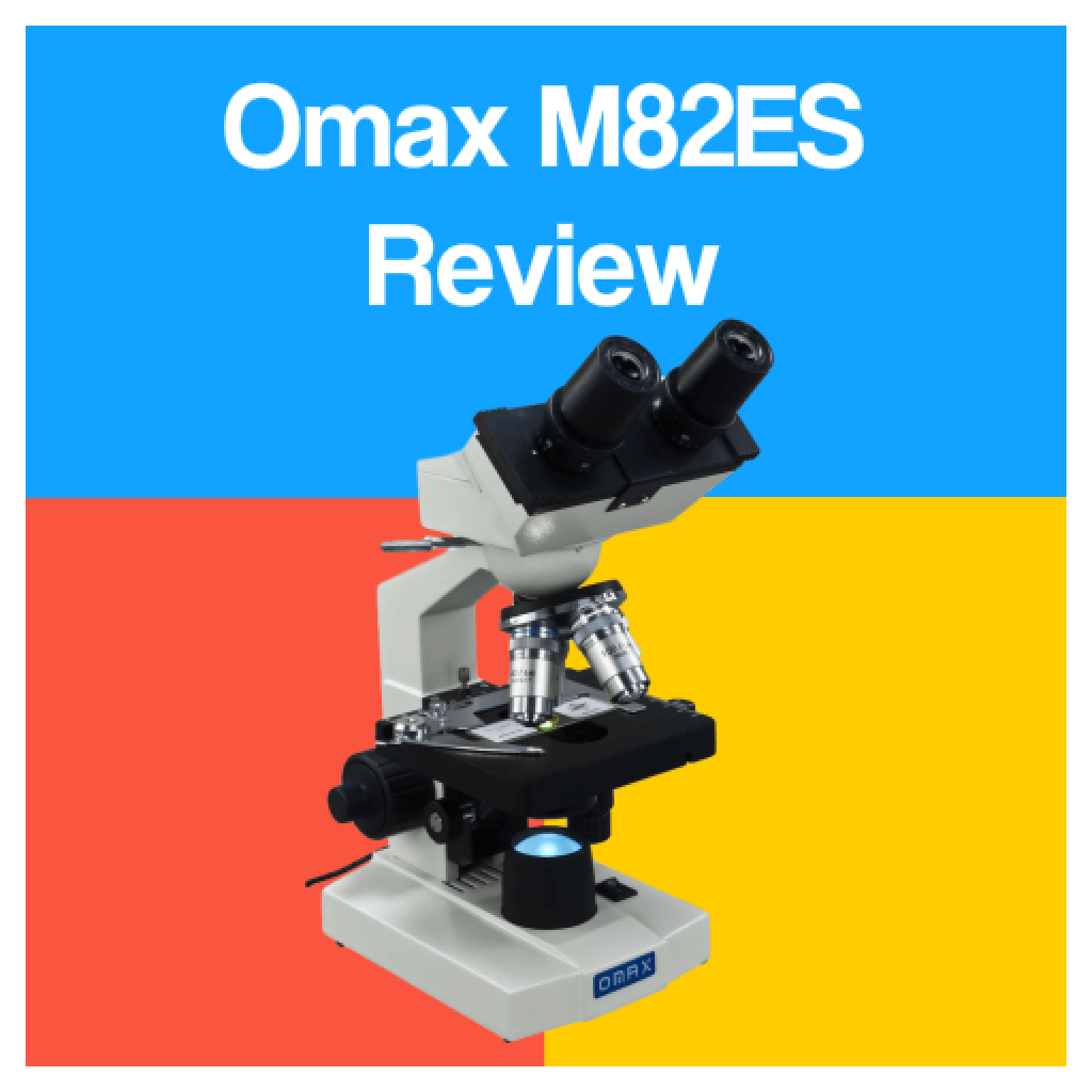 Omax M82ES Review