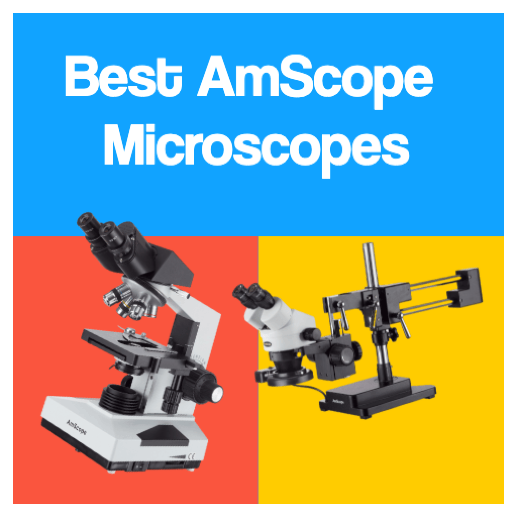 Best AmScope Microscopes