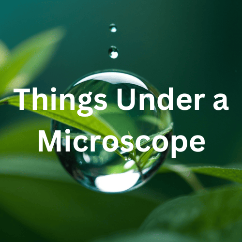 Things Under a Microscope